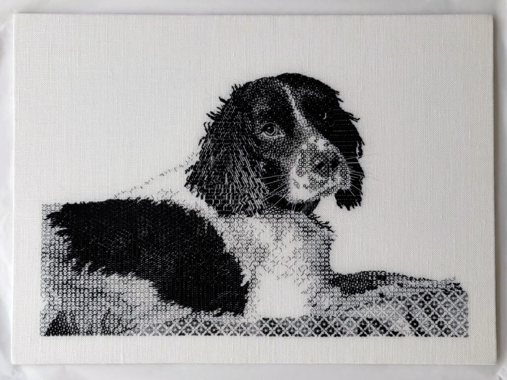 Blackwork embroidery of an English Springer Spaniel lying on a blanket with his head turned to gaze at the viewer.