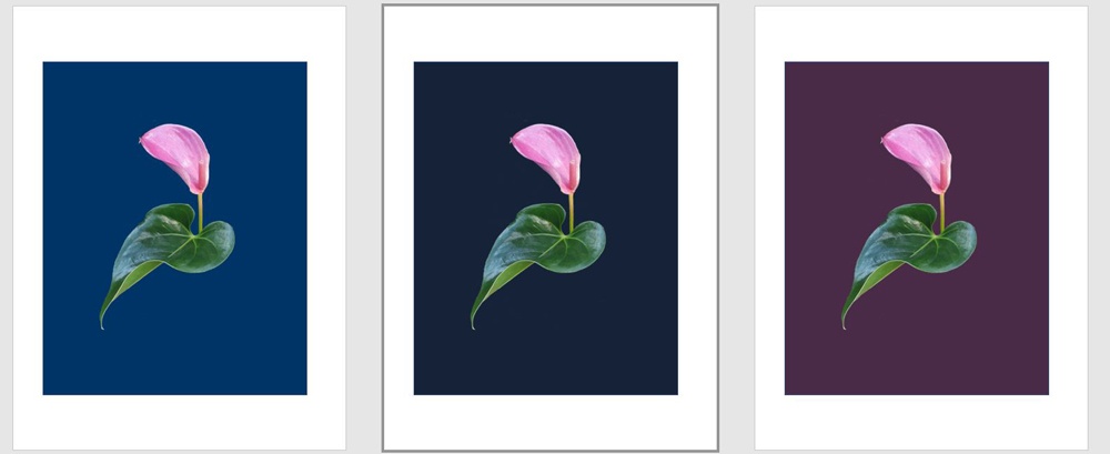 My peace lily and leaf design on three different background colours - from the left: blue, navy blue, purple-blue. Helping me to choose the fabric for my silk shading.
